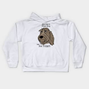 Spinone Italiano - Nice Dog Kids Hoodie